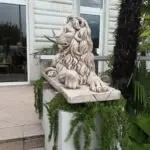 Posąg Pary Lwów z Koloseum